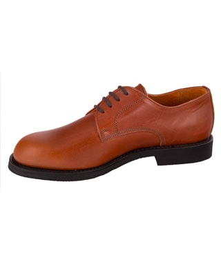 Detalle Zapato Blucher Bronce