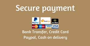 Secure Payments